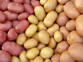 Продажа картофеля мелким и крупным оптом в Алтайск