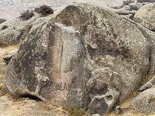Экскурсия в горы Ташкента( Амирсай). 