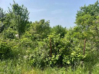 Продаетcя зем. уч. 8,1 сотка, СHT Победитель.