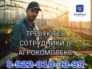 Требуются сотрудники в агрокомплекс