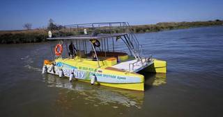 Бизнес. Катамаран Кайман-800, до 40 человек