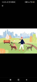 Выгул собак 