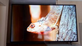 телевизор смарт 55 SHARP