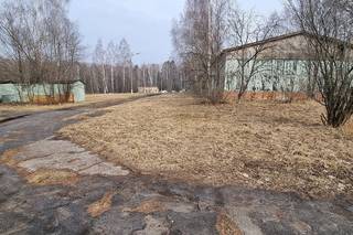 Оздоровительный лагерь «Лесные дали» Московская об