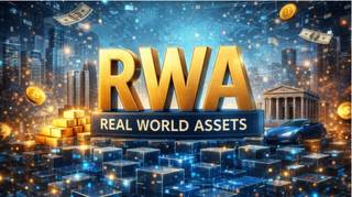 Бизнес партнёр в международный проект Rwa nft defi