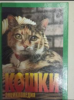 Книга Энциклопедия Кошки. Джино Пуньетти.