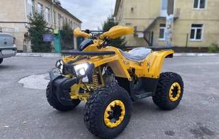 Квадроцикл motoland wild X 125 yellow