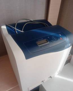 Принтер Xerox Phaser 6500