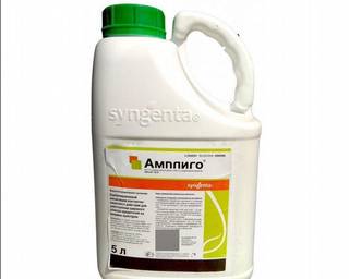 Syngenta инсектицид амплиго