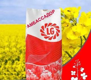 Limagrain рапс амбассадор(озимый)