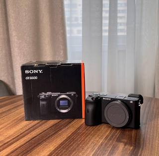 Sony alpha 6600