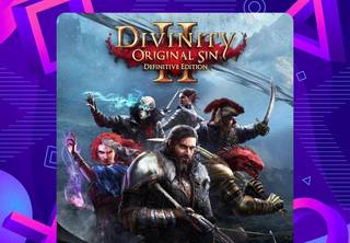 Divinity: Original Sin 2 - Definitive Ed ps4 и ps5