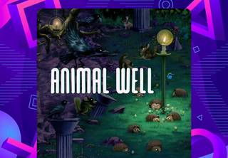 Animal well PS5