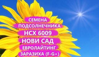 Семена подсолнечника нсх 6009 Гибрид нс, Краснодар