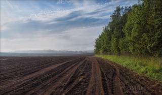 Продается 16 гектаров ухоженной плодоносящей земли.Есть вода и возможн