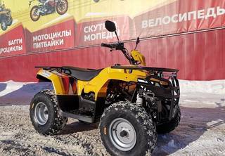 Квадроцикл irbis ATV 250 XE (X-motors edition)