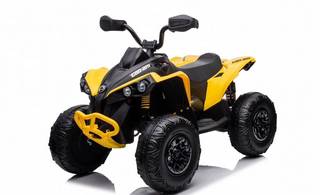 Электроквадроцикл RiverToys BRP Can-Am Renegade