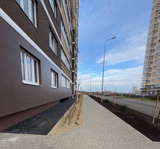 Благоустройство и озеленение территорий