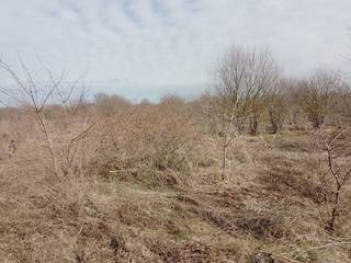 Продается зем. уч. 10 соток, ст-ца Старокорсунская