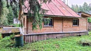 Сказочный лесной хуторок под Старым Изборском 